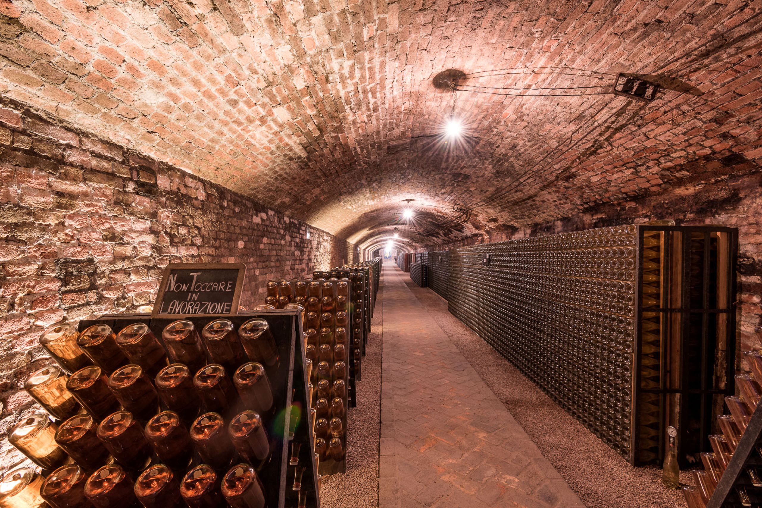 Contratto cellar