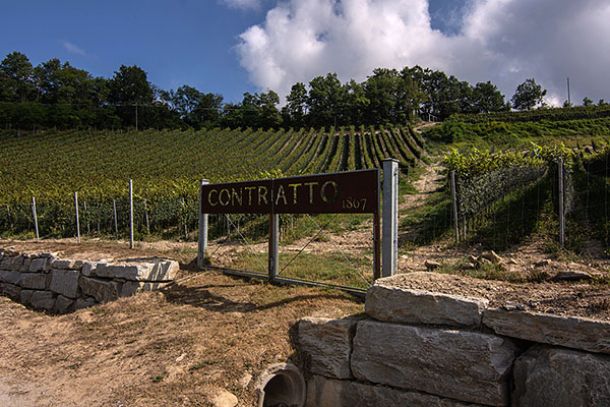 Contratto
